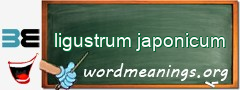 WordMeaning blackboard for ligustrum japonicum